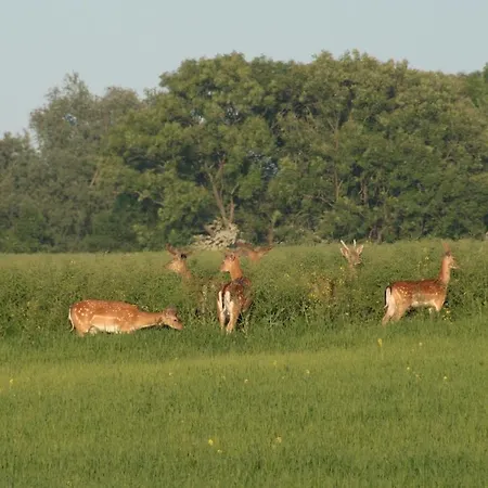 Apartment Feriendomizil Achtern Oewer