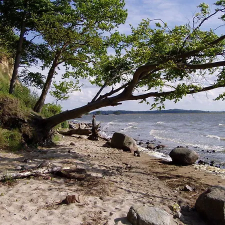 Apartment Feriendomizil Achtern Oewer