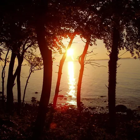 Lägenhet Feriendomizil Achtern Oewer Lohme